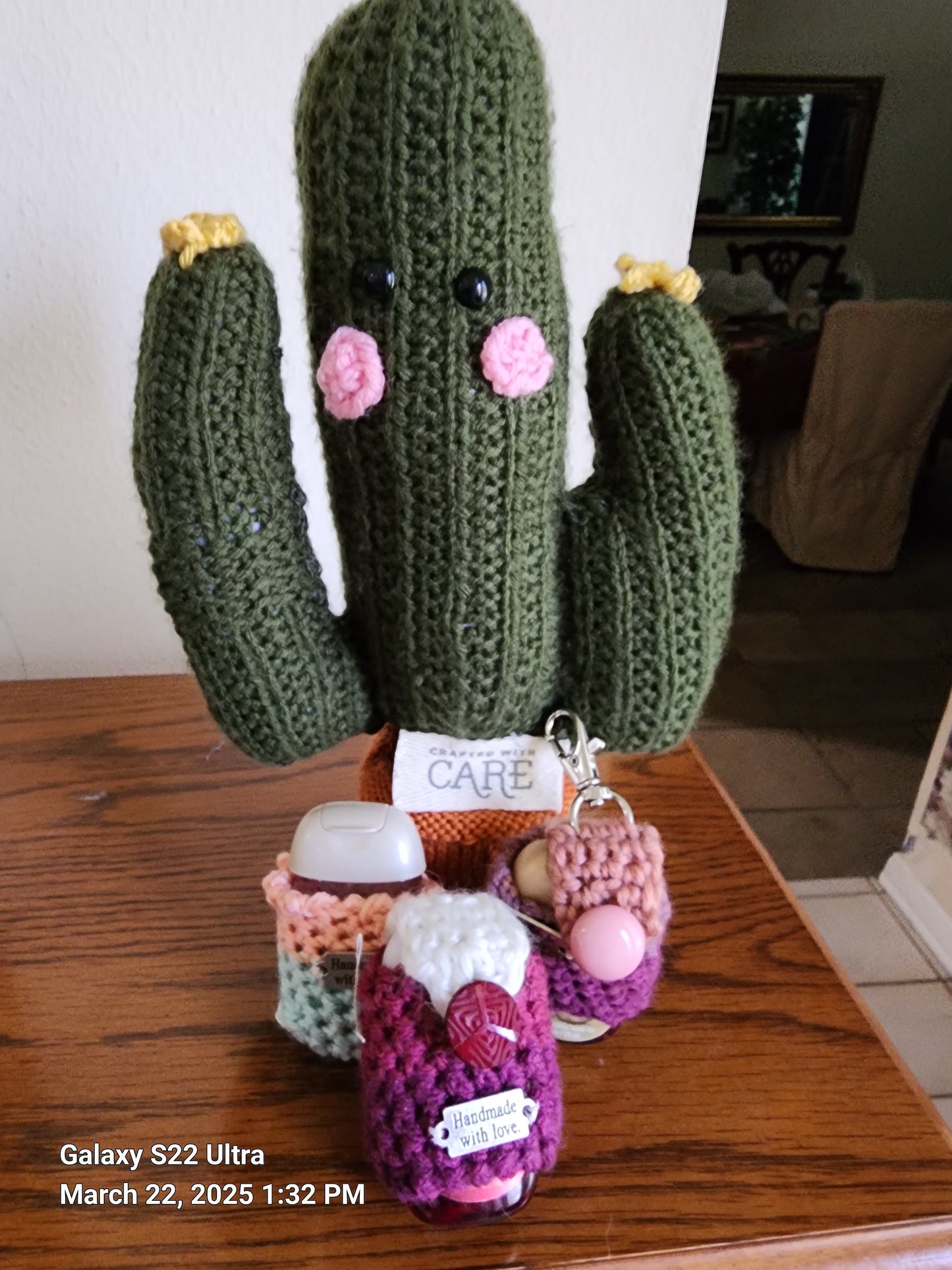 Crocheted Cactus Plants in a Terracotta Pot