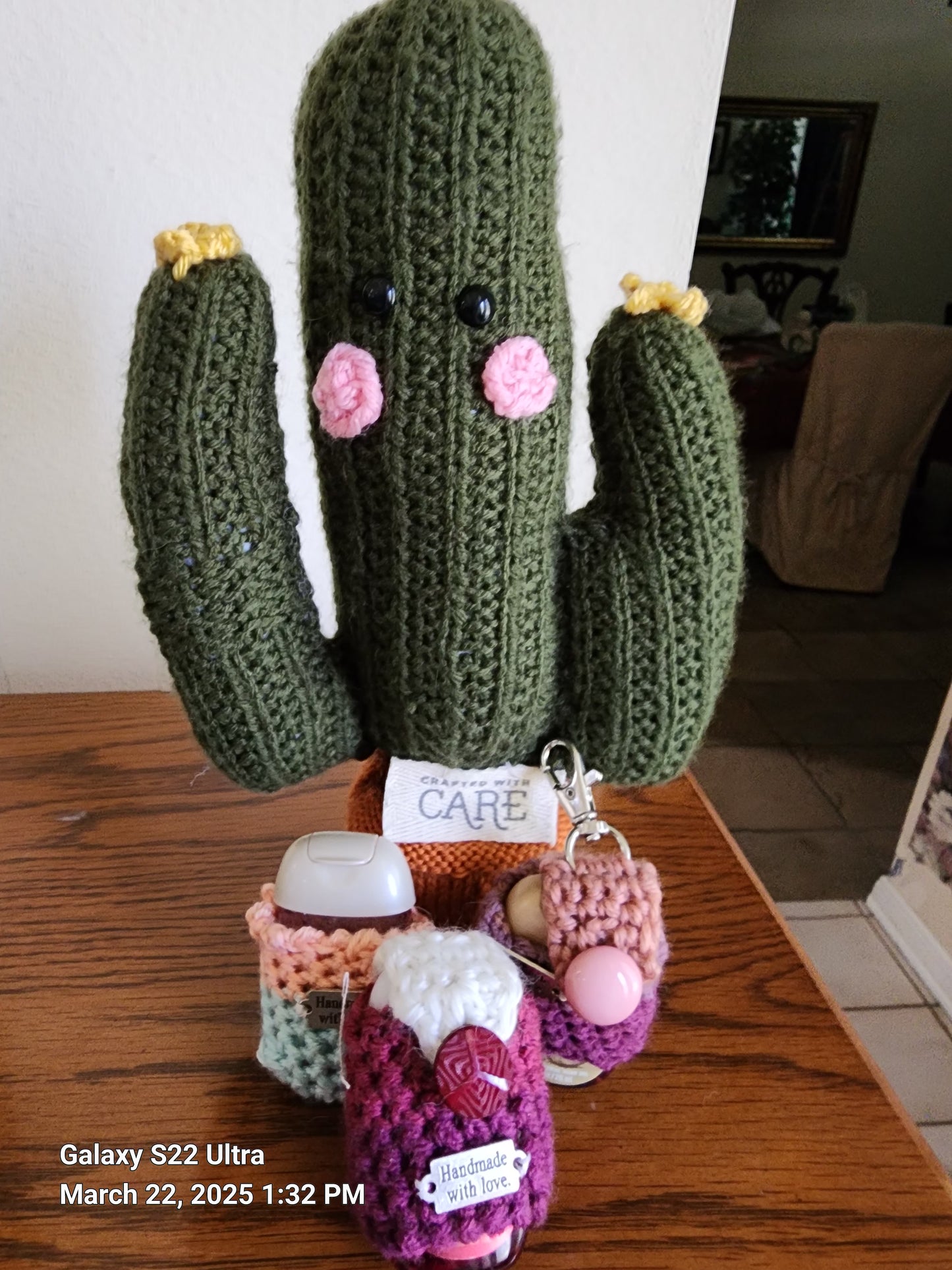 Crocheted Cactus Plants in a Terracotta Pot