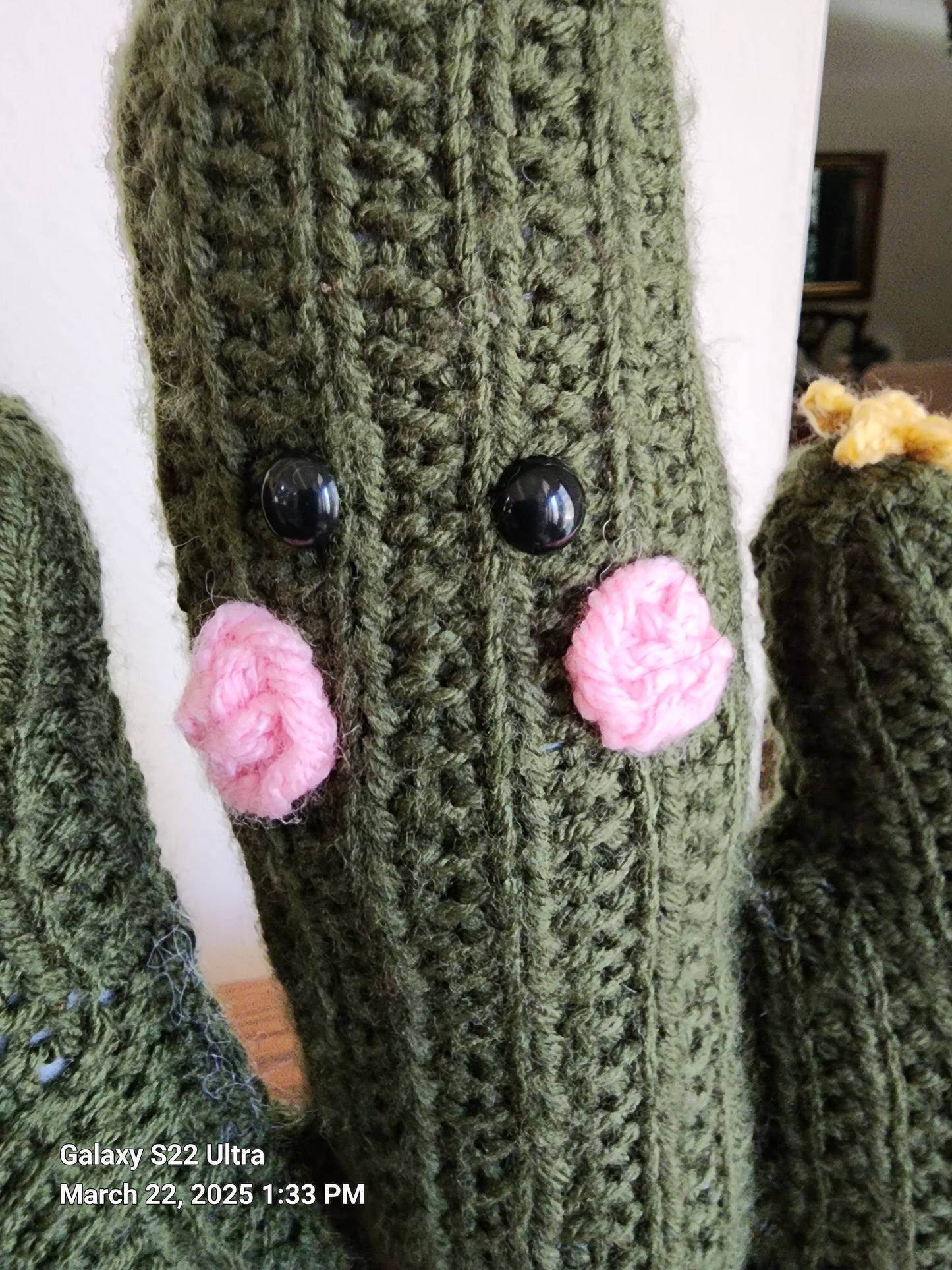 Crocheted Cactus Plants in a Terracotta Pot