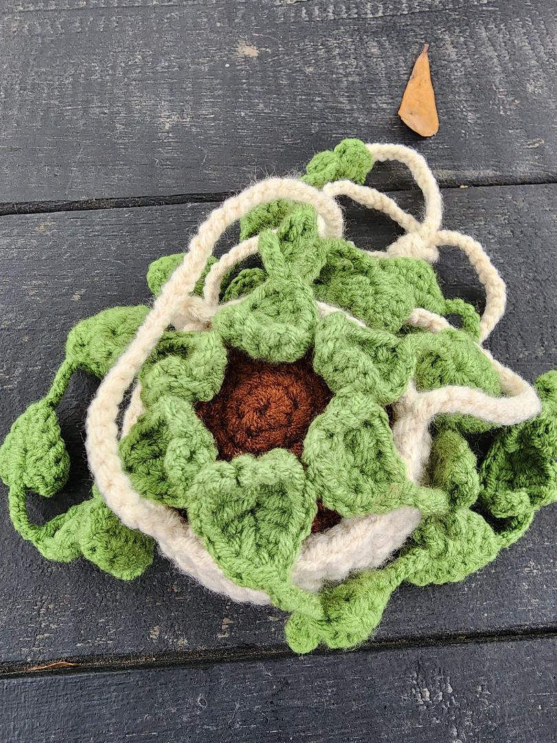 Crocheted Hanging Plant Deodorizer - DONNA'S DESIGN OF HANDMADE ITEMS